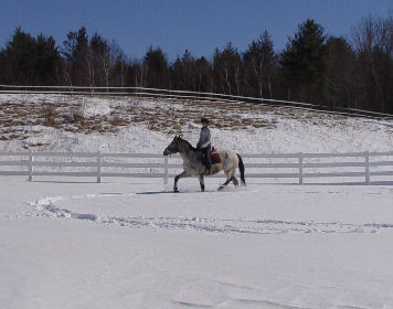 Horsebacking riding in the snow